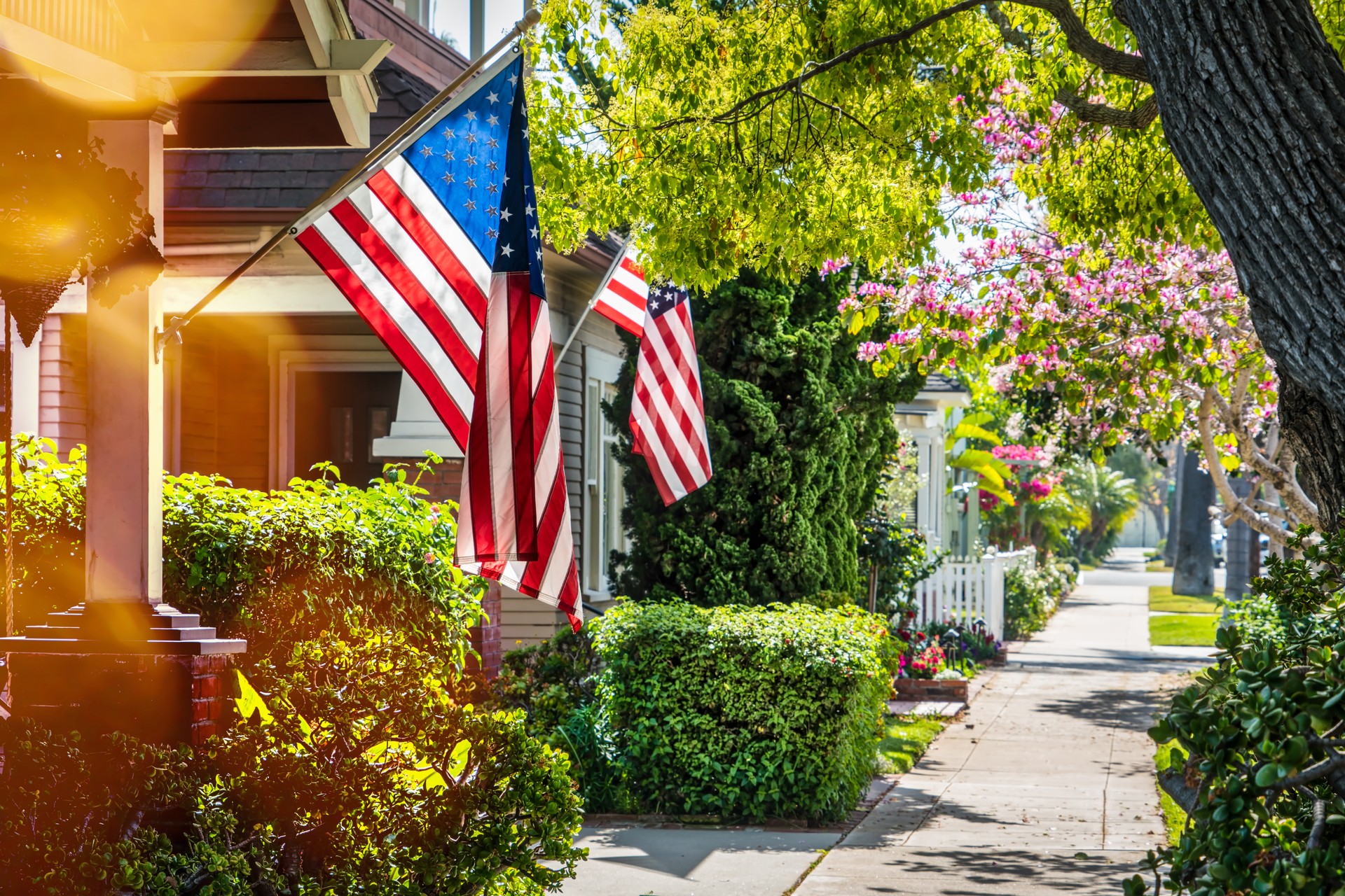 Flags 1 (Napa)